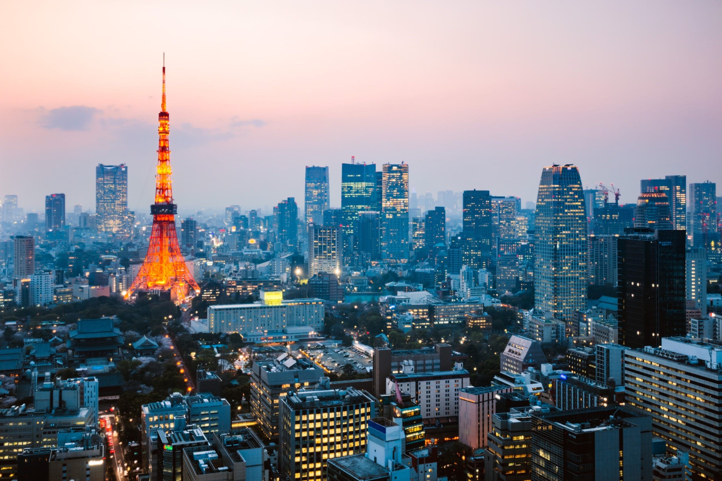 Hướng dẫn tìm các trường Senmon ở Tokyo có chất lượng đào tạo tốt
